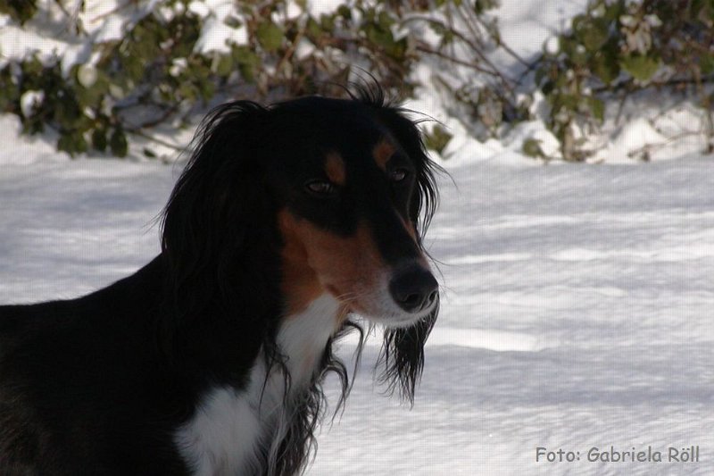 Quincy 2009-01-ß6 (2).JPG